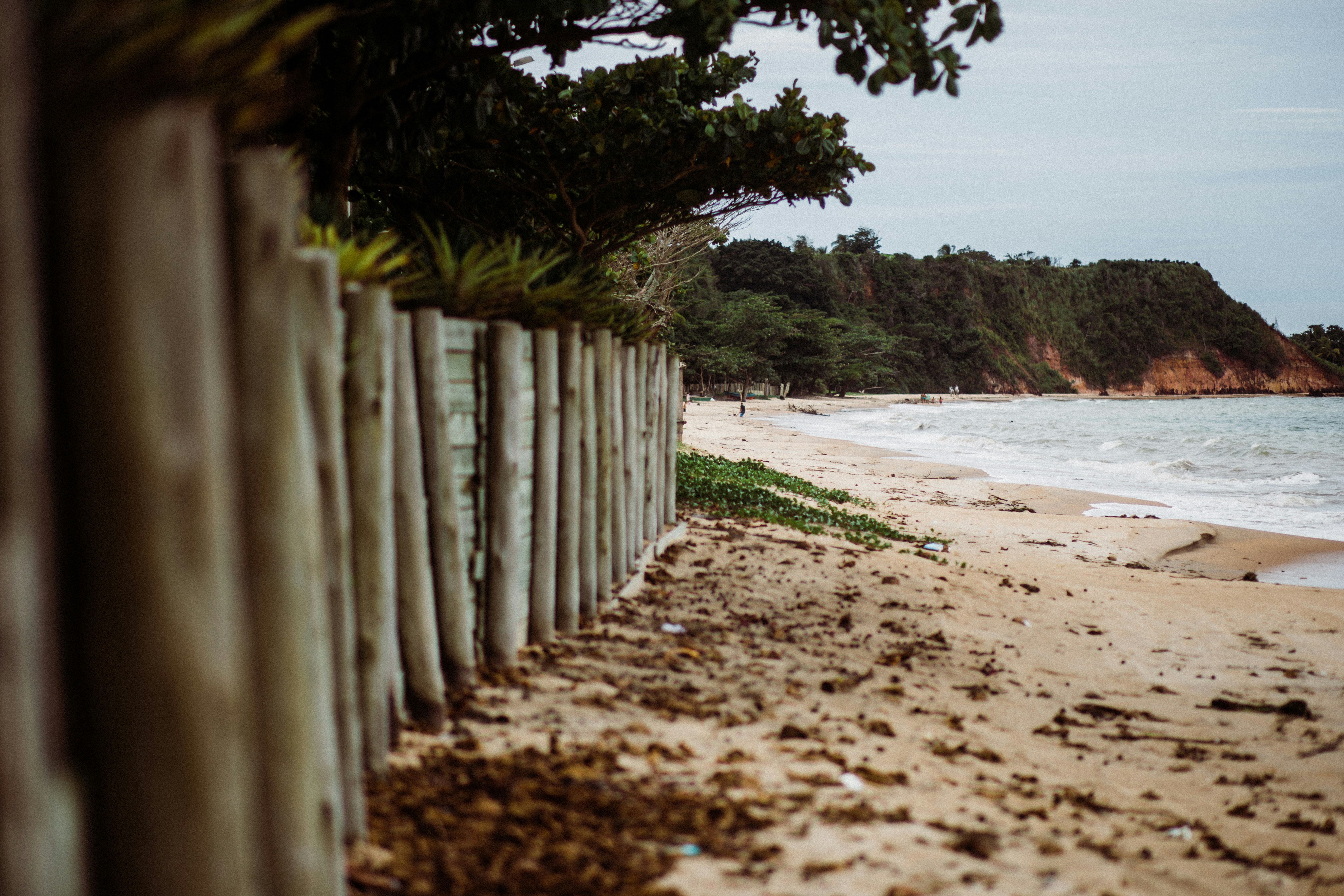 brown wooden fence on beach shore during daytime